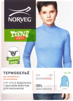 Водолазка для мальчиков Norveg Soft Teens City Style